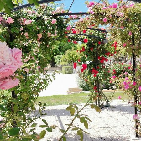 Gite En Provence Lavande Modene Екстер'єр фото