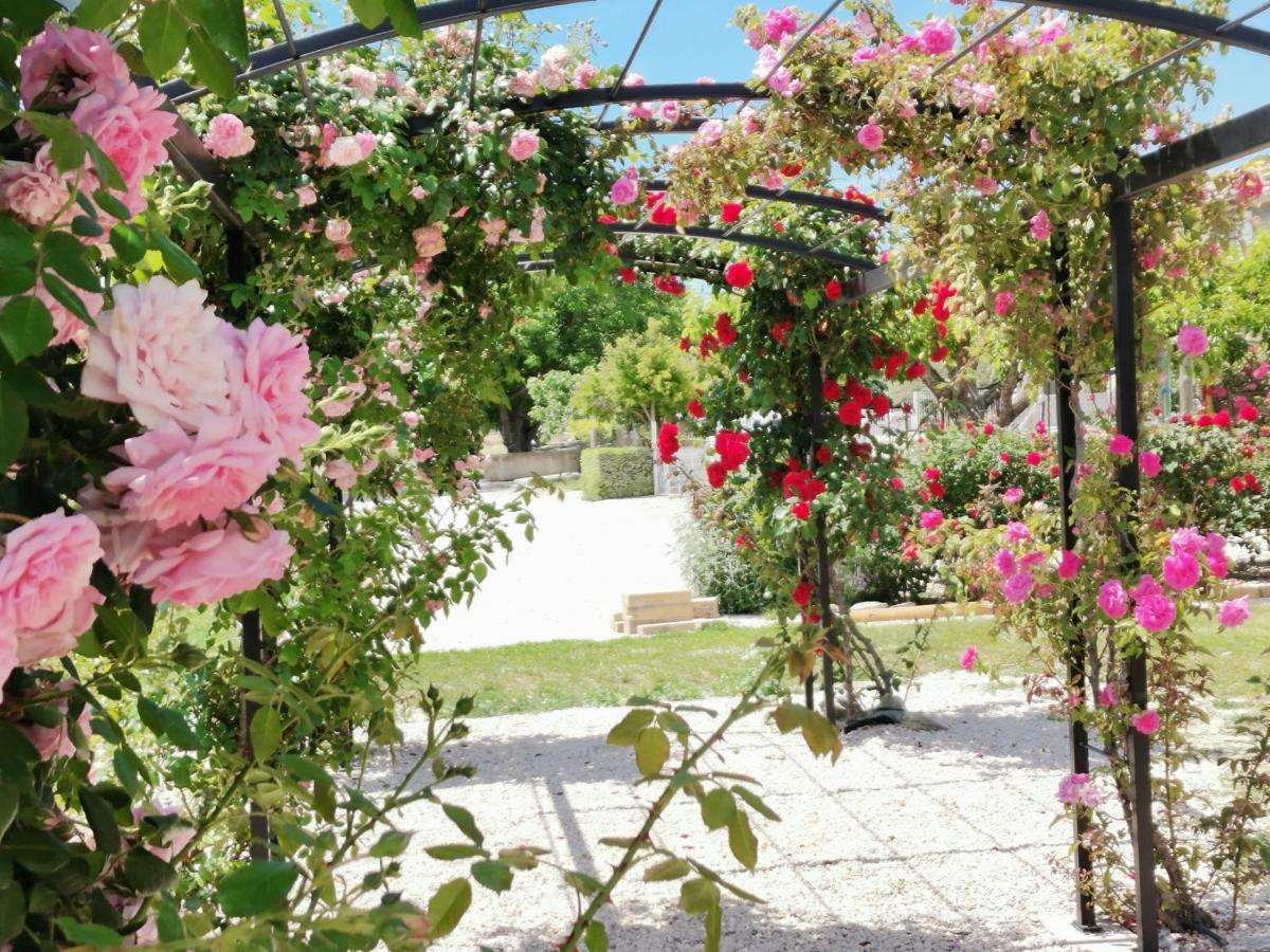 Gite En Provence Lavande Modene Екстер'єр фото