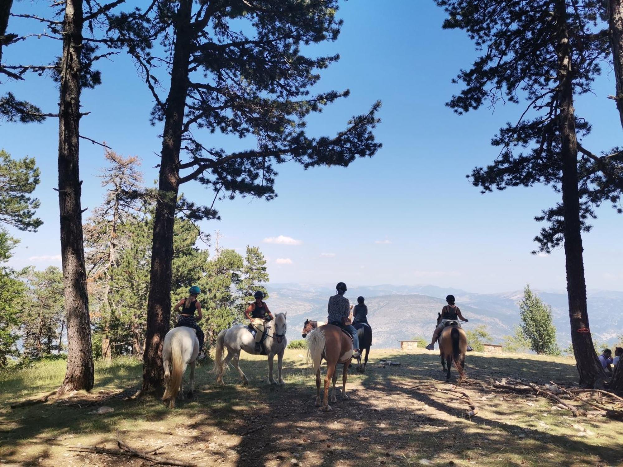 Gite En Provence Lavande Modene Екстер'єр фото