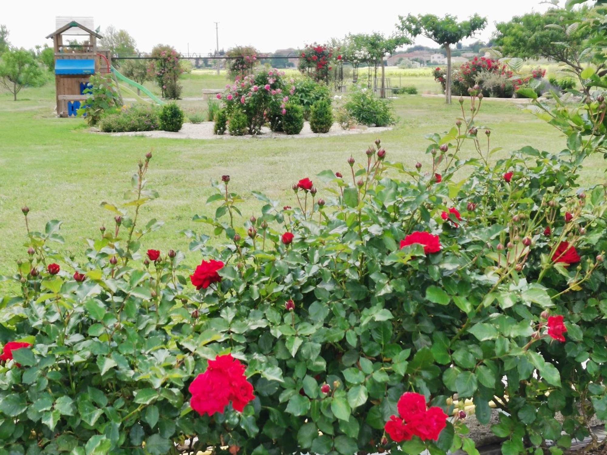 Gite En Provence Lavande Modene Екстер'єр фото