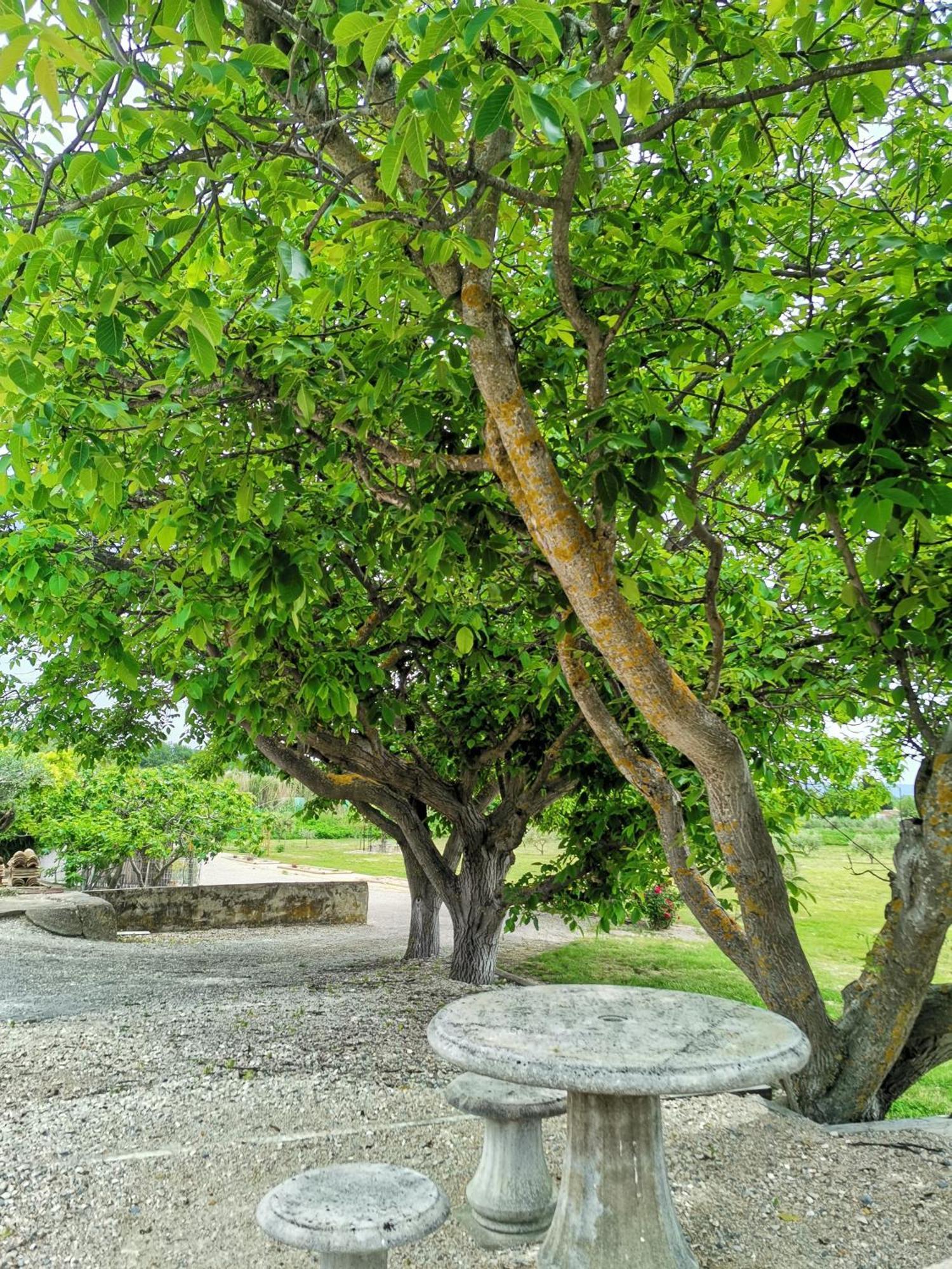 Gite En Provence Lavande Modene Екстер'єр фото