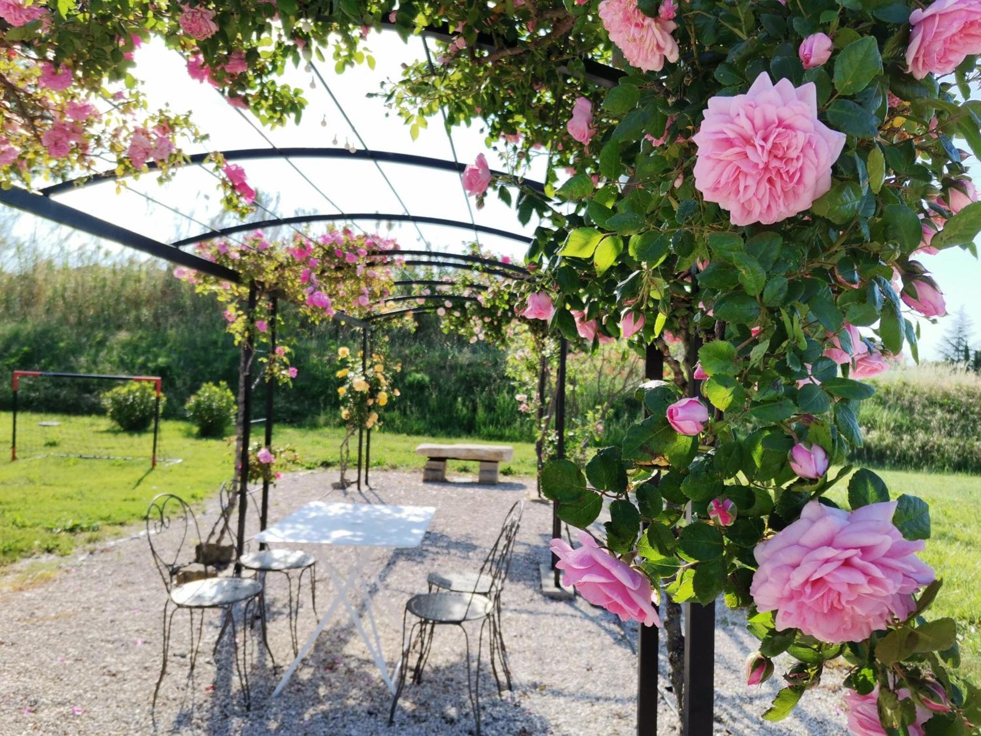 Gite En Provence Lavande Modene Екстер'єр фото