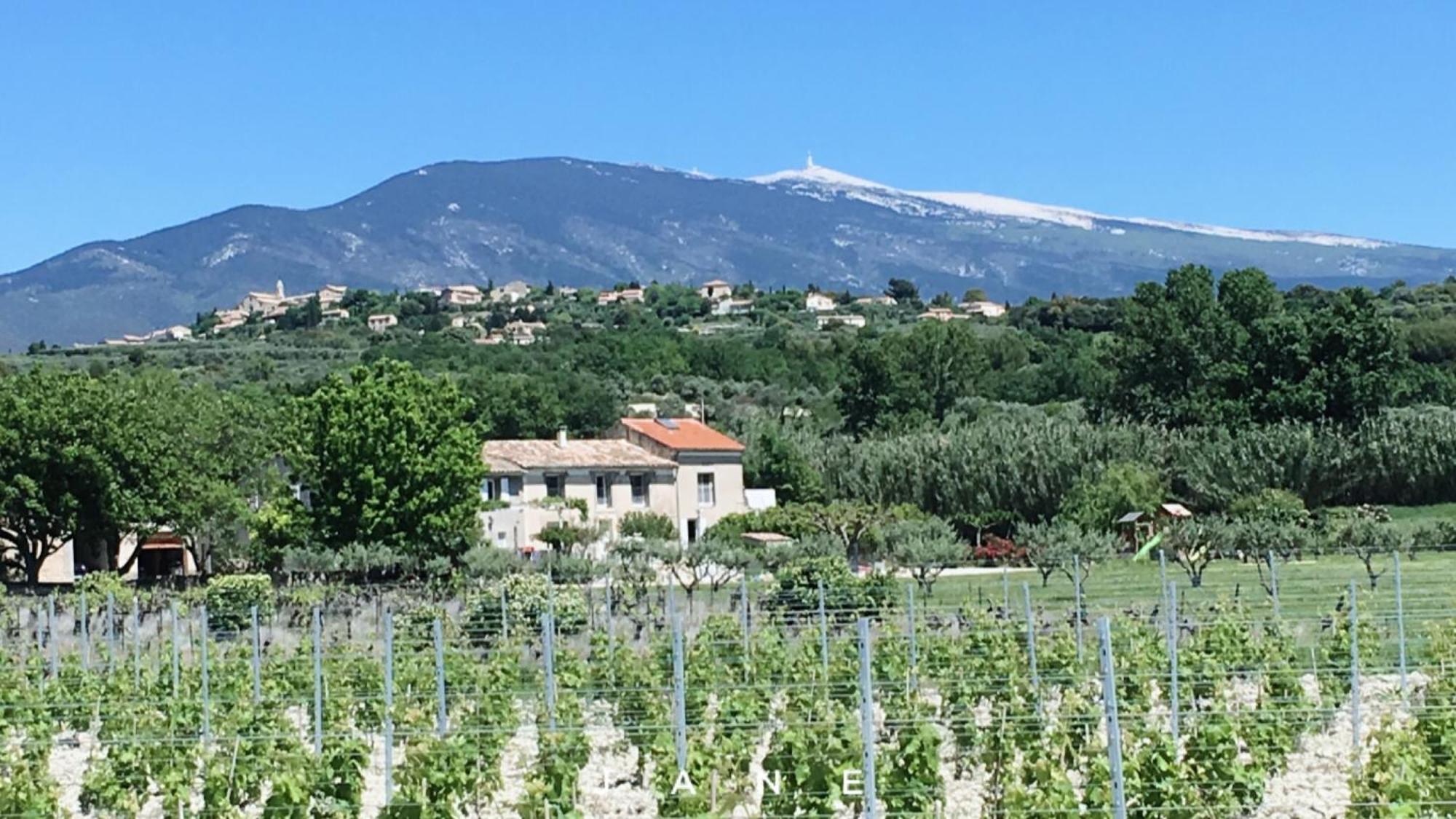 Gite En Provence Lavande Modene Екстер'єр фото