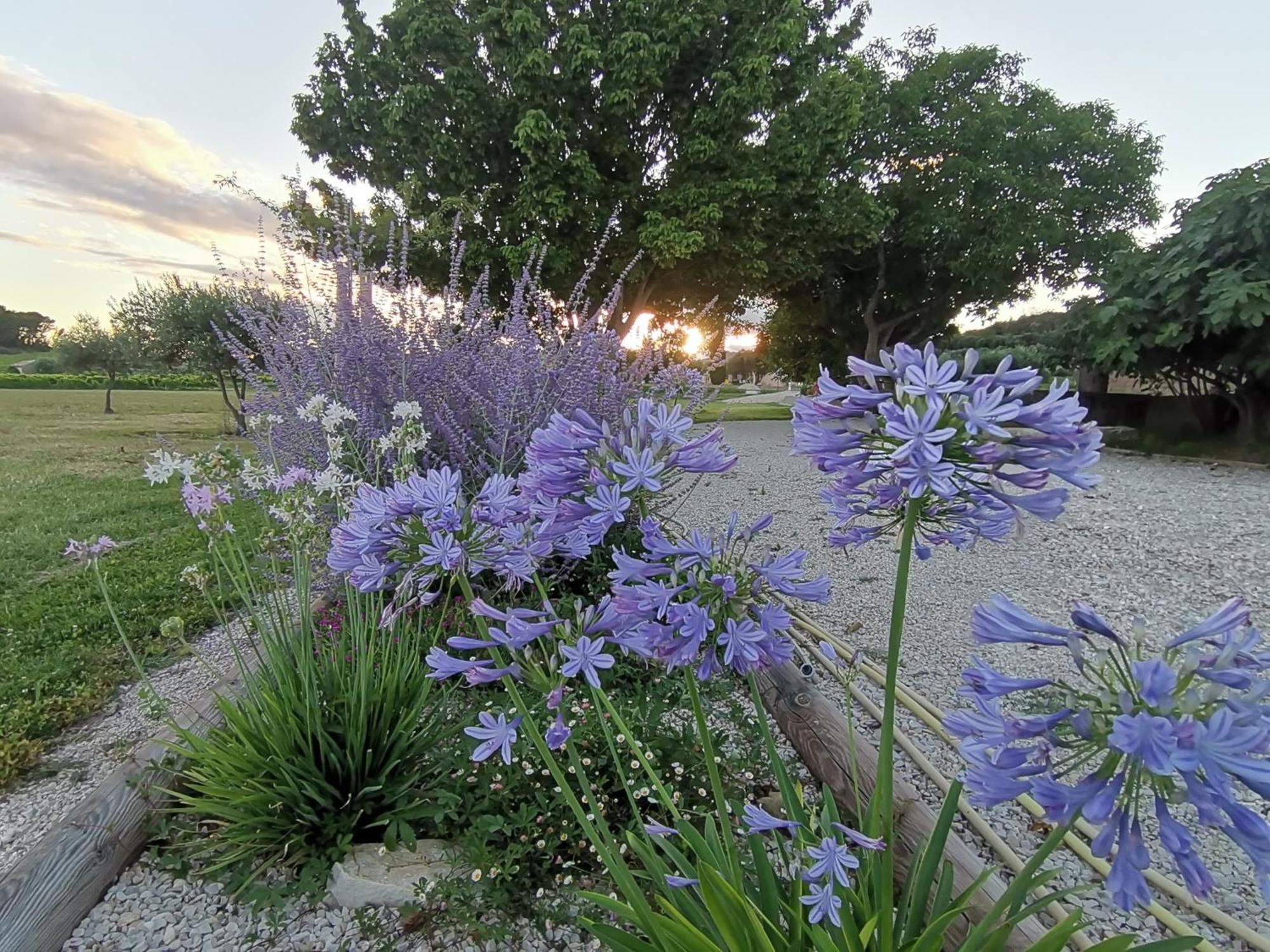 Gite En Provence Lavande Modene Екстер'єр фото