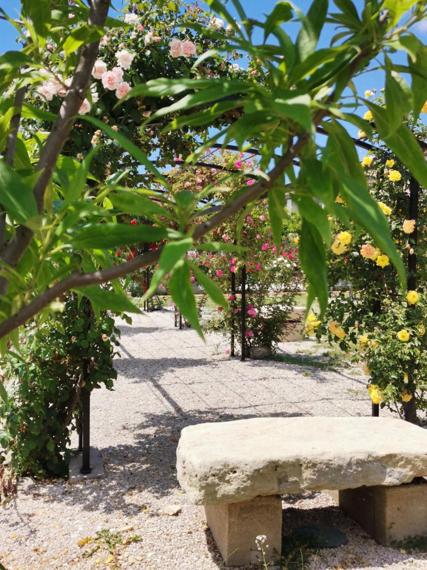 Gite En Provence Lavande Modene Екстер'єр фото