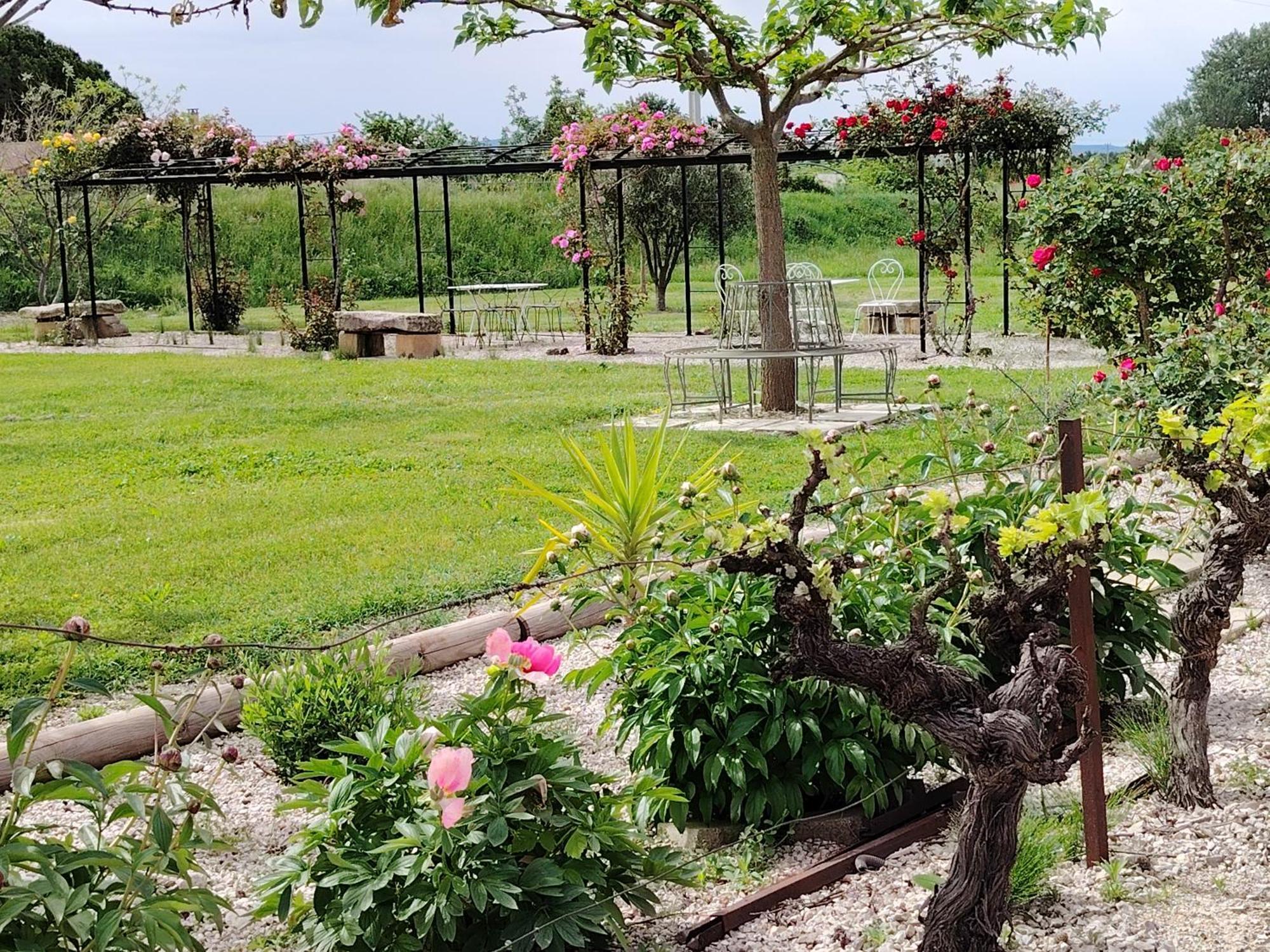 Gite En Provence Lavande Modene Екстер'єр фото