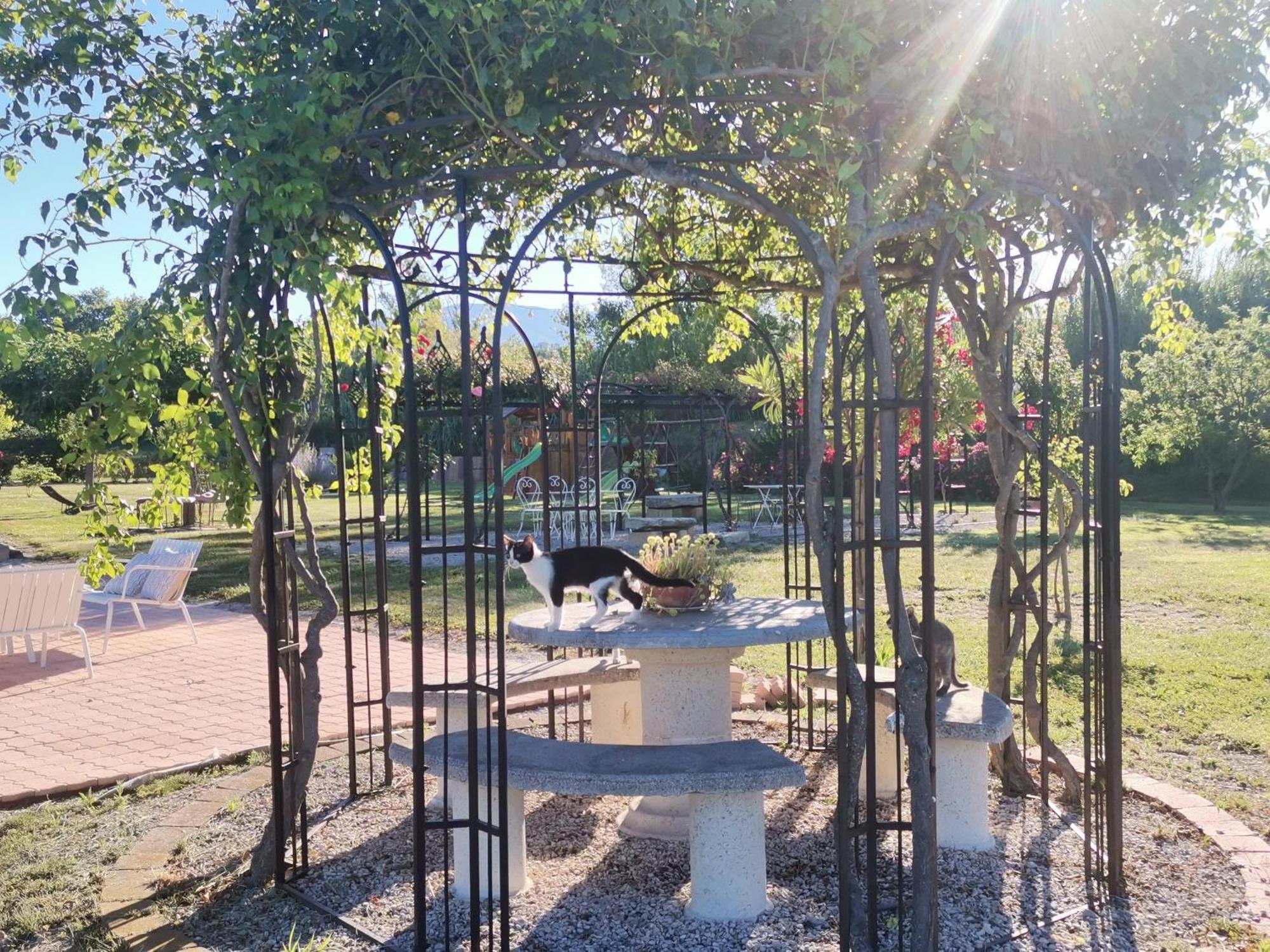 Gite En Provence Lavande Modene Екстер'єр фото